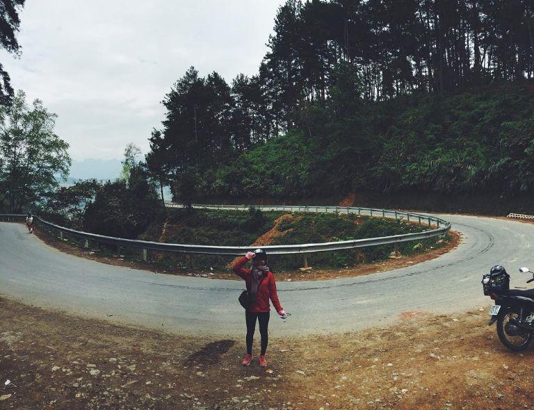 Yen Minh Pine Forest