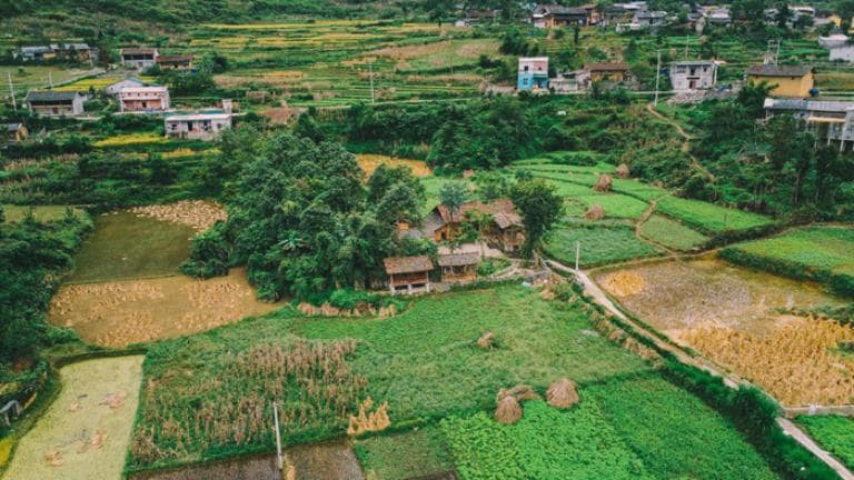 Lo Lo Chai Village has a rich agricultural heritage, primarily relying on traditional farming practices.