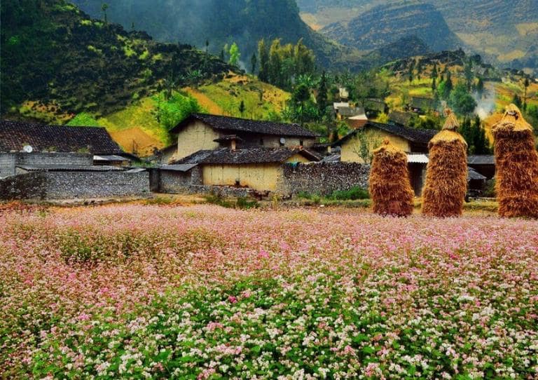 The best time to visit Lo Lo Chai is from September to November.