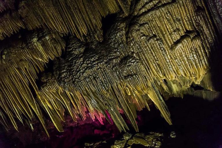 Cave features dense, captivating stalactites and stalagmites.