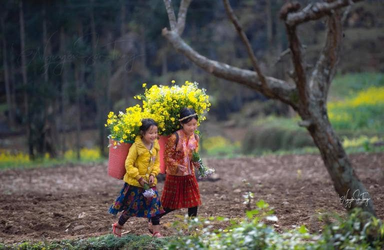 Spring and autumn are perfect for visiting Nam Dam Village's beauty.