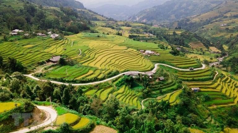 Trekking near Nam Dam Village immerses you in Ha Giang's stunning nature. 