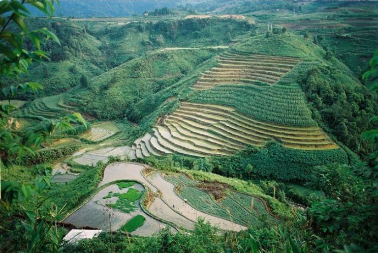 Discover the breathtaking landscapes of Nam Dam Village, where nature and culture intertwine in perfect harmony