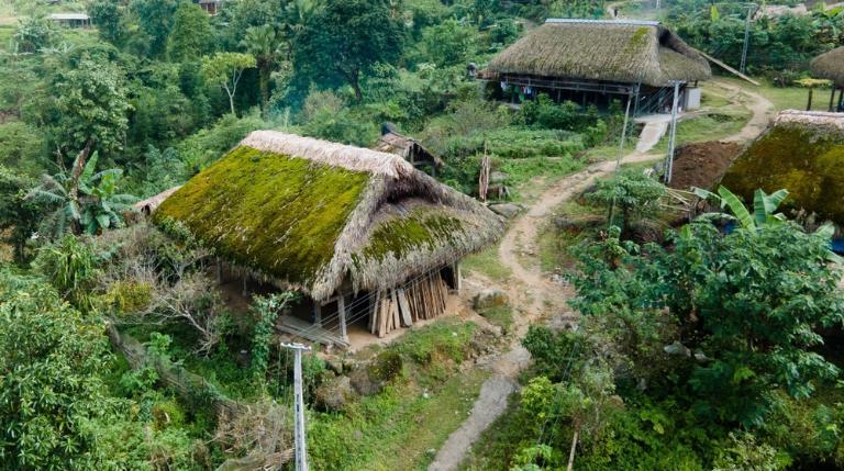 The traditional Dao houses feature thatched roofs made from palm leaves.