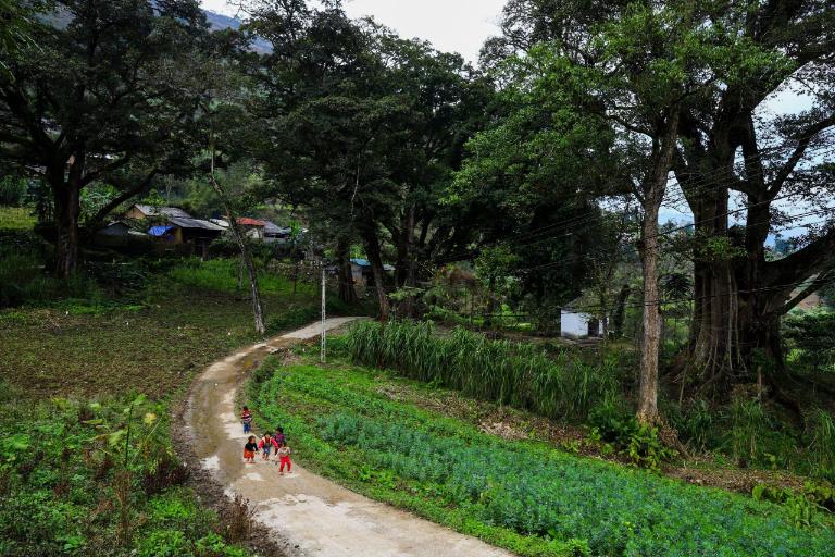 Early mornings in the village reveal locals cooking bánh bò and bánh phở, sharing recipes and memories.