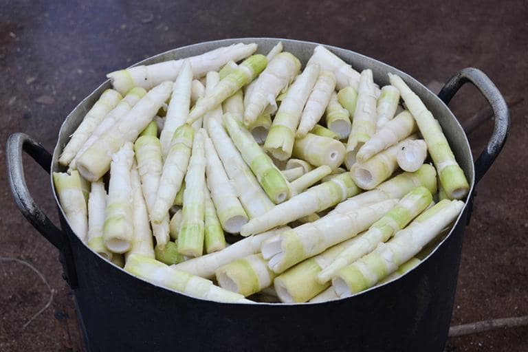 Fresh bamboo shoots are typically in season from late spring to early summer.