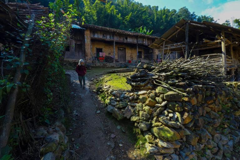 Thien Huong Ancient Village offers a unique, tranquil getaway with old banyan trees.