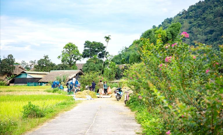 With just 10 hectares for cultivation, Thon Tha's rice harvest lasts about a week. A fleeting beauty!