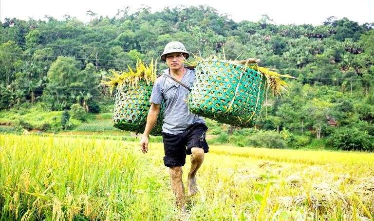 Thon Tha Village, rooted in Tay customs, thrives on agriculture and traditional stilt homes.