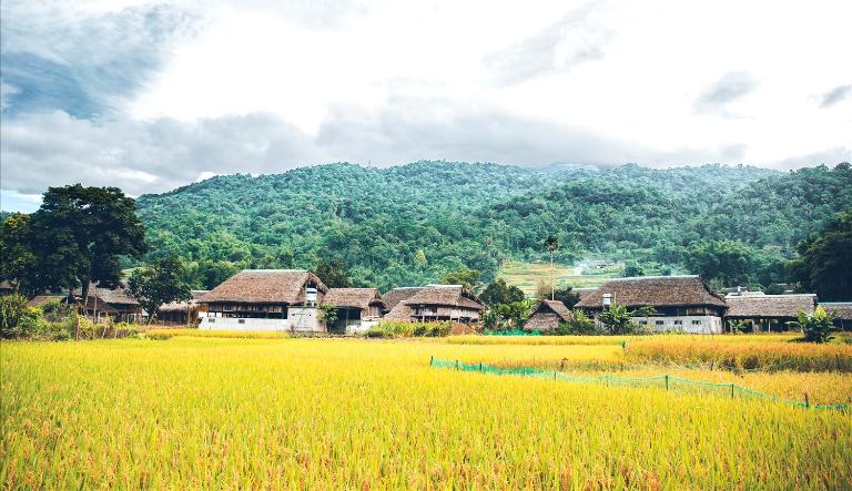 Discover the serene beauty of Thon Tha Village, where nature and culture unite.