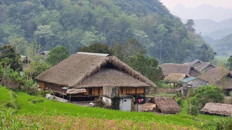 The old, moss-covered houses of the Tay people stand amid the golden rice fields, nestled against the green mountains