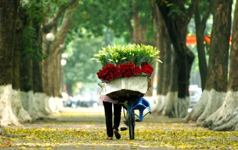 Beautiful Motorbike Routes in Hanoi