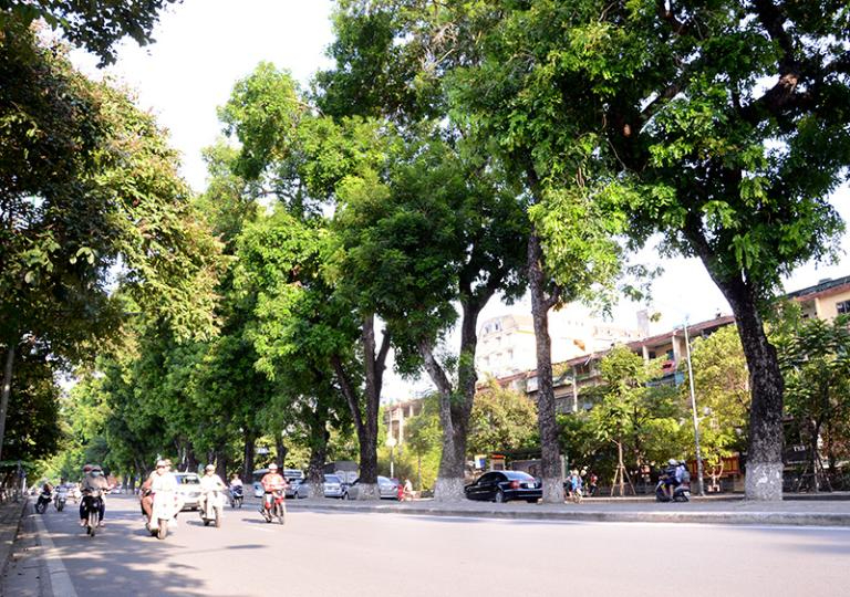 Beautiful Motorbike Routes in Hanoi