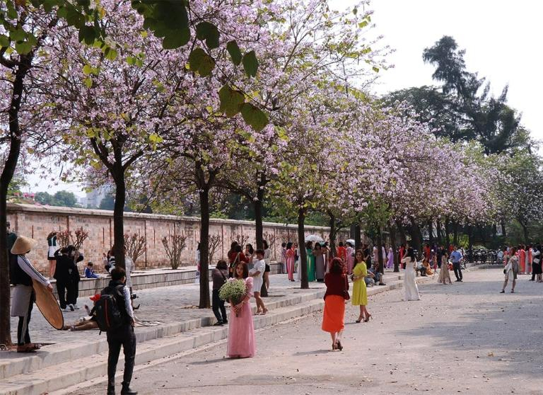 Beautiful Motorbike Routes in Hanoi