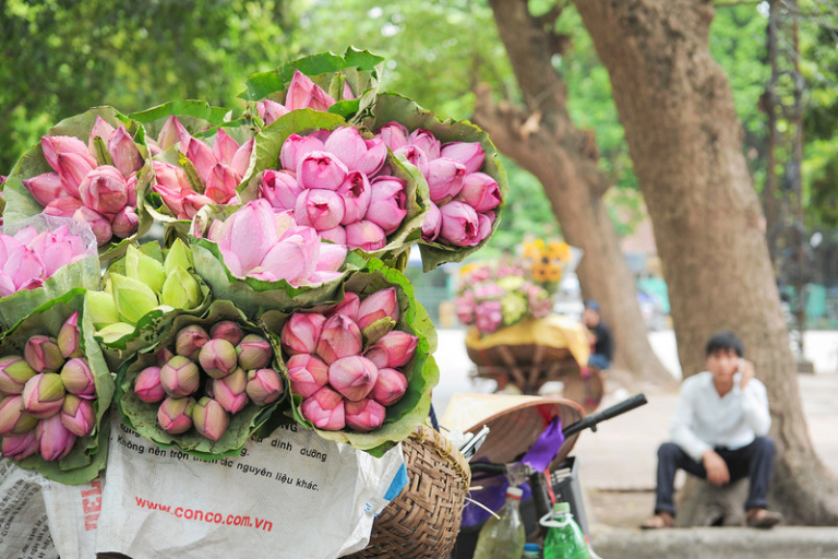 Best Time to Visit Hanoi