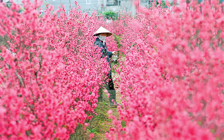 Best Time to Visit Hanoi