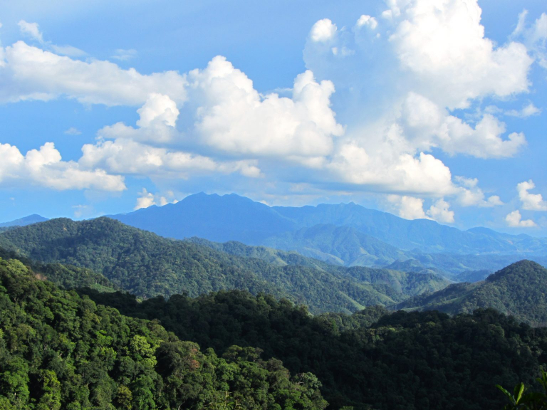 Golden Loop Vietnam