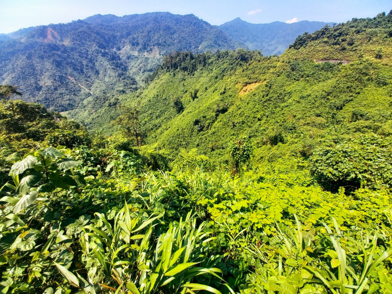 Golden Loop Vietnam