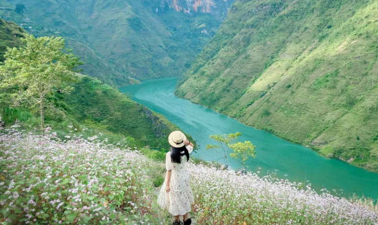 Ha Giang Travel