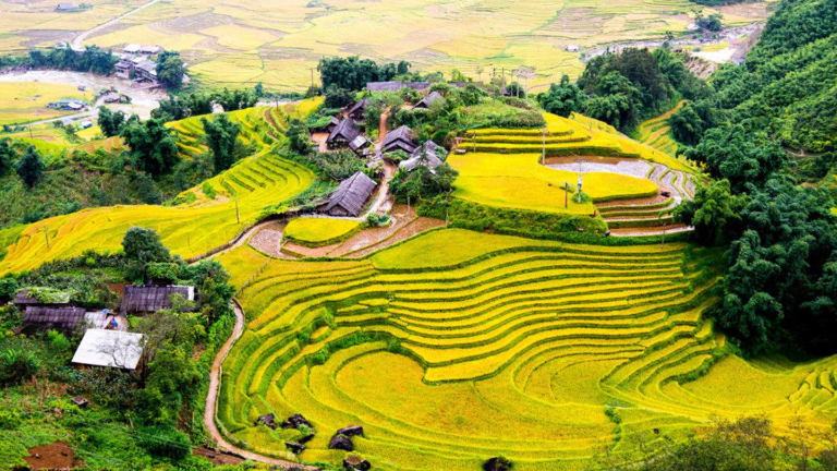 Ha Giang in August