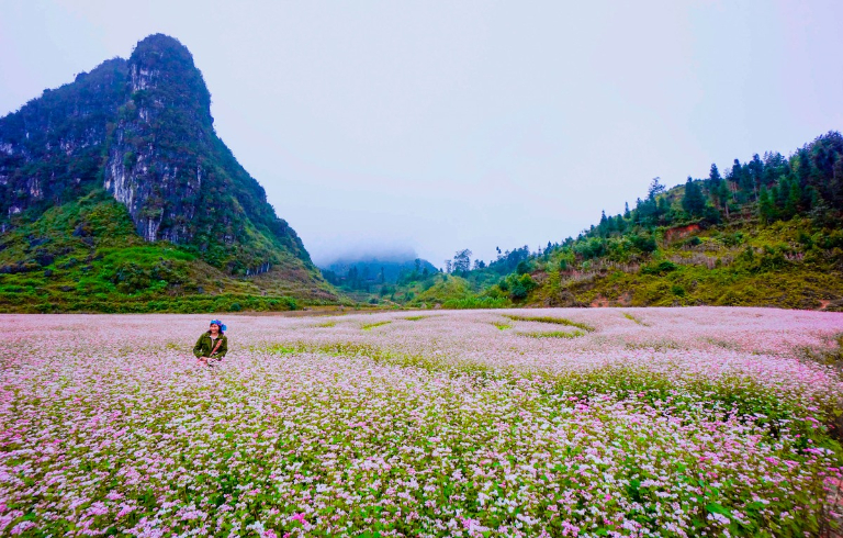 Ha Giang in December