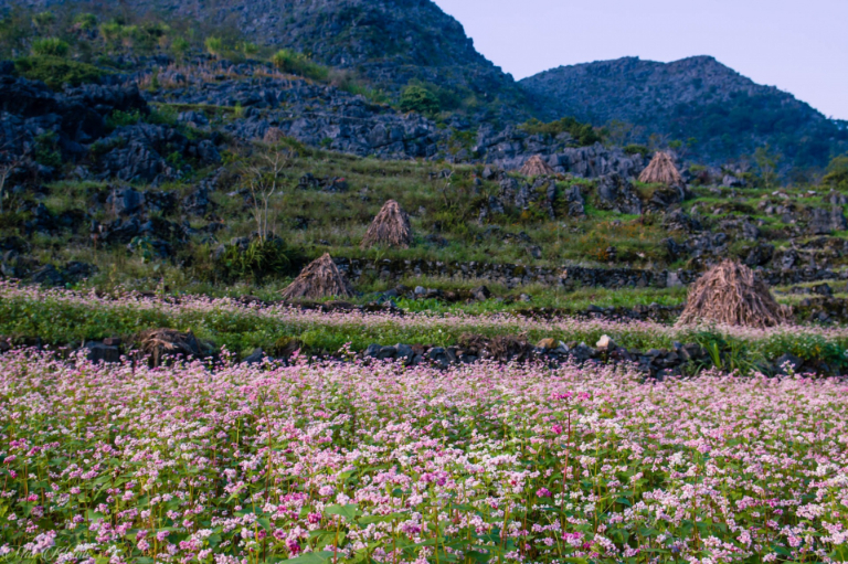 Ha Giang in November