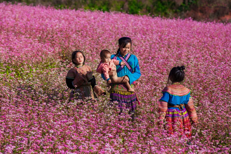 Ha Giang in November