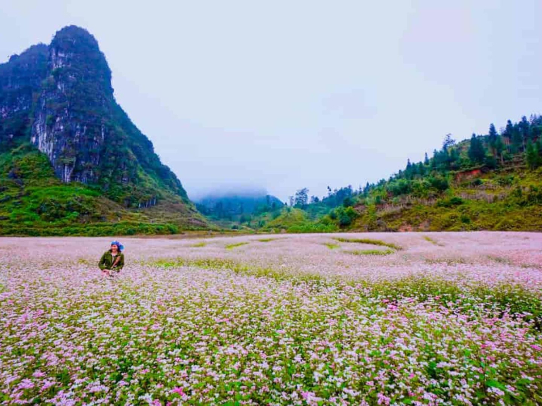 Ha Giang in October