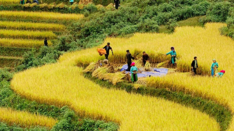 Ha Giang in October