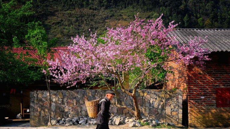 Ha Giang in October