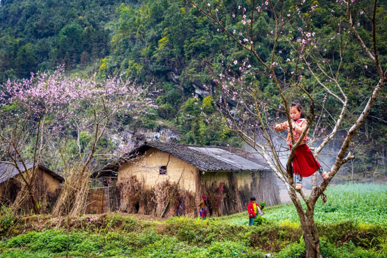 Ha Giang in October