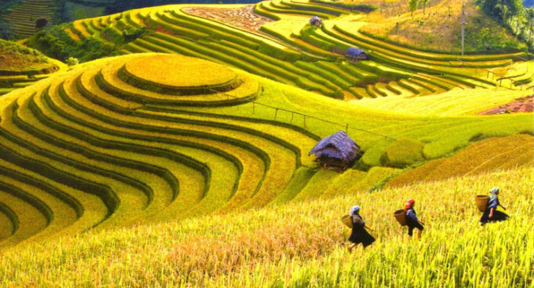 Ha Giang in September