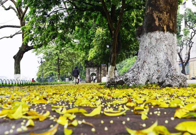 Hanoi in September