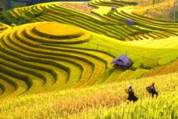 Hanoi - Lao Cai - Hoang Su Phi Route