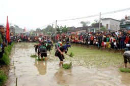 Long Tong Festival