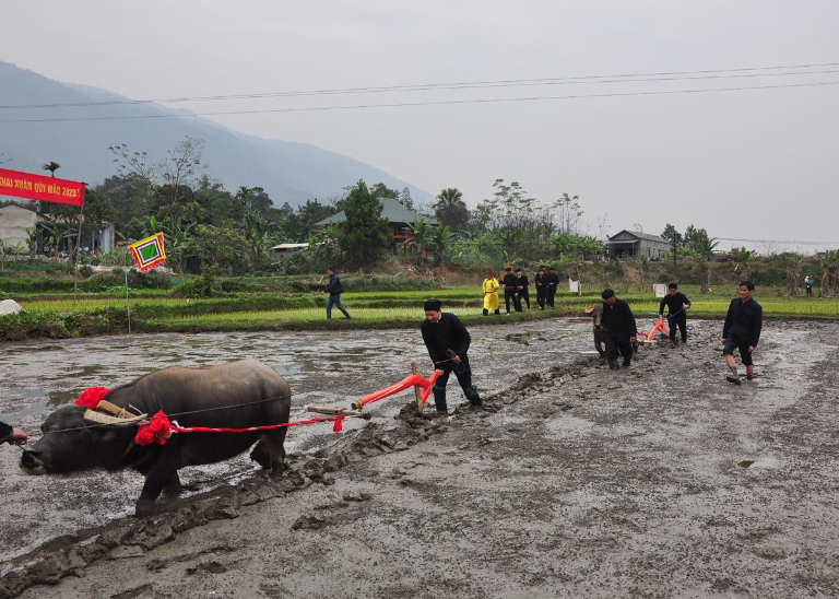 Long Tong Festival