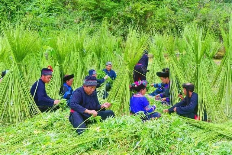 Lung Tam Village in Ha Giang