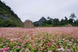 Lung Tao Village