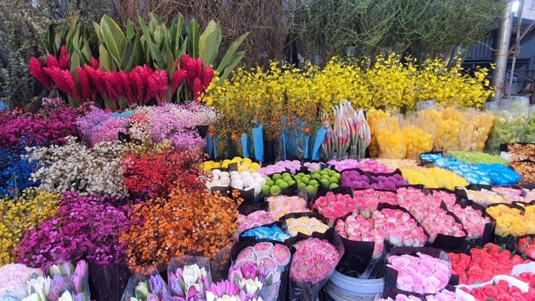 Markets in Hanoi