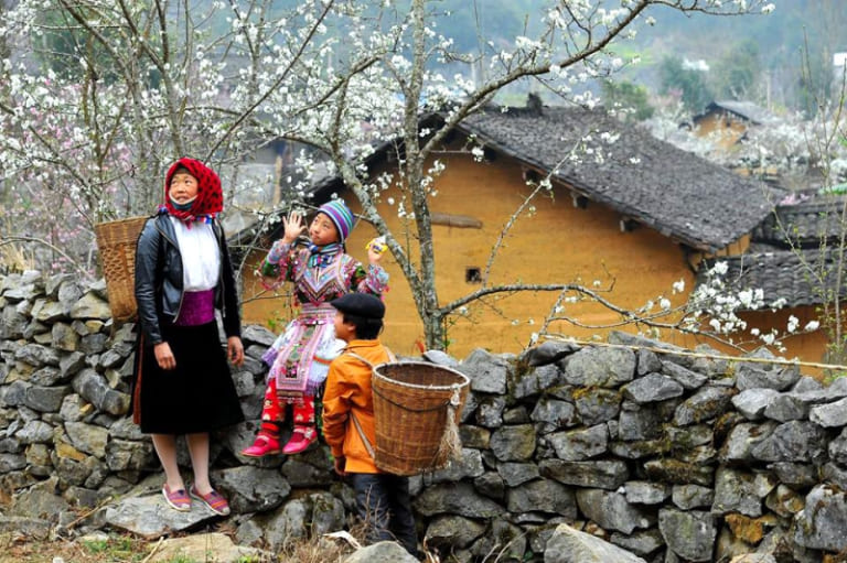 Old Quarters in Vietnam