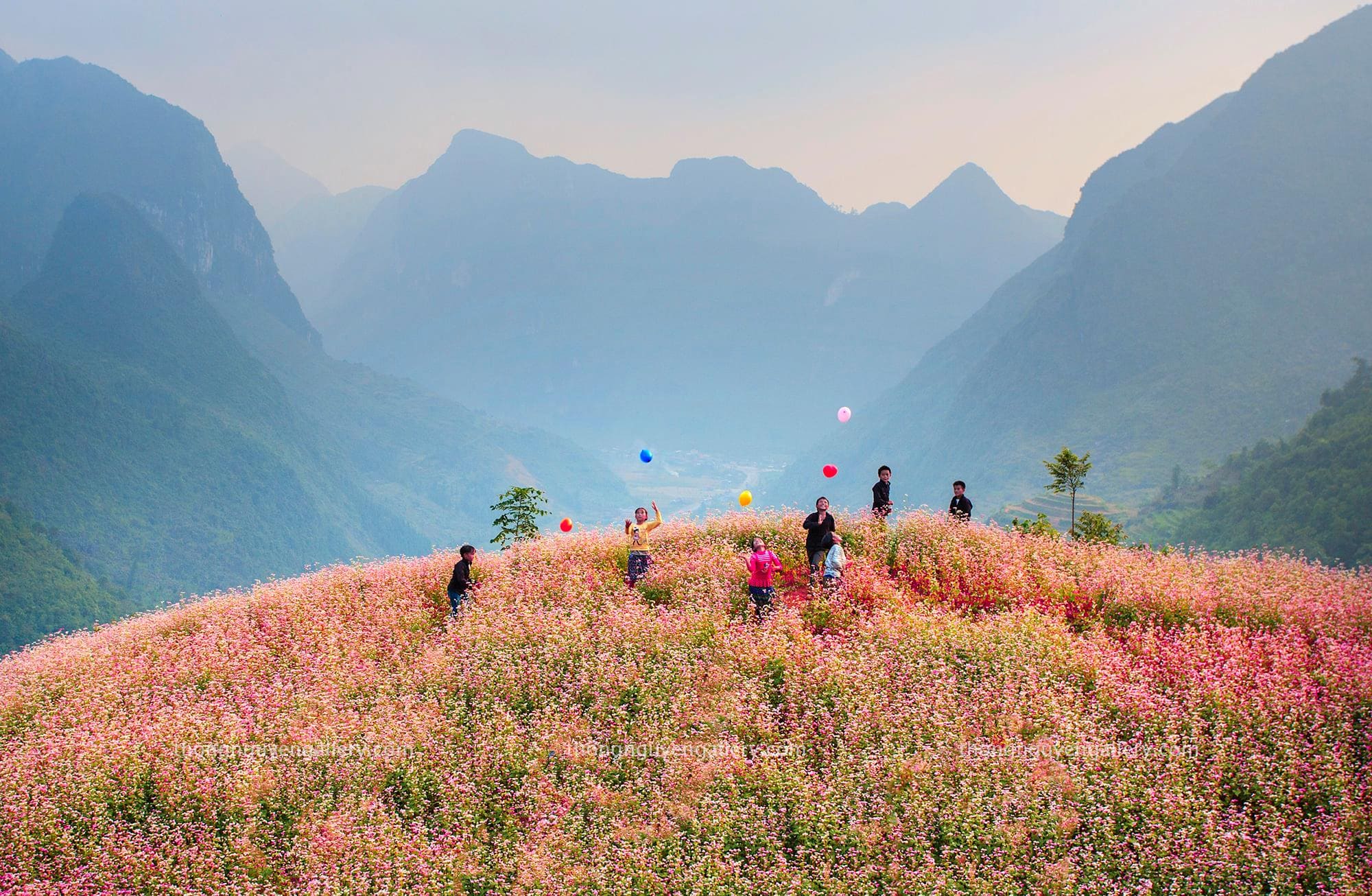 How to Plan and Prepare for a Motorbike Tour in Ha Giang