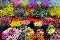 Quang Ba Flower Market