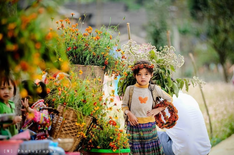 Photography Equipment for the Ha Giang Loop Tour