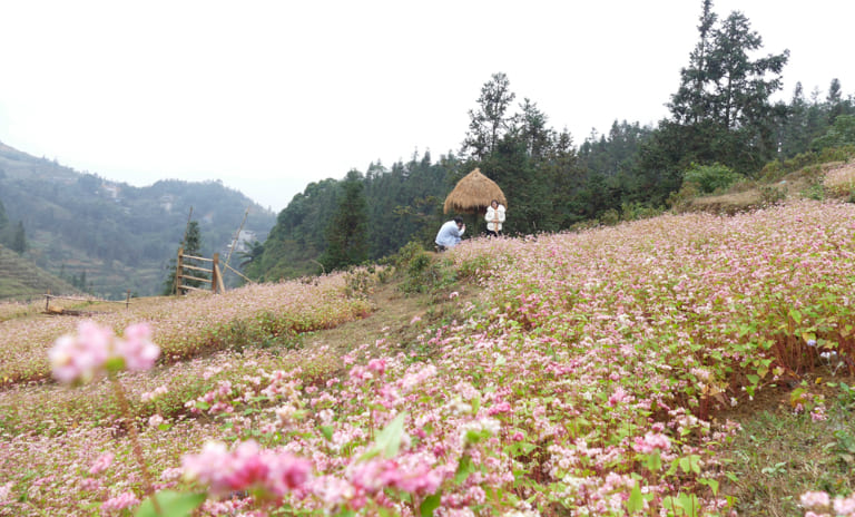 Sapa – Ha Giang Route 