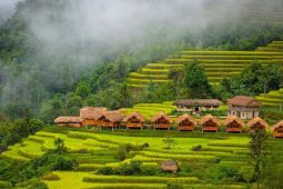 Tips for Experiencing Traditional Homestays and Local Cuisine in Ha Giang