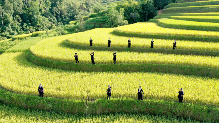 Trekking in Ha Giang