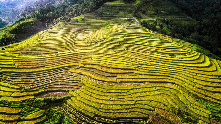 Tuyen Quang Loop