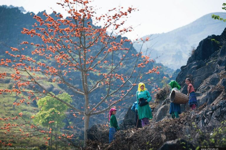 unique experiences in Ha Giang