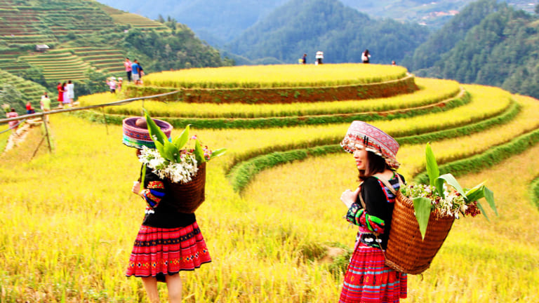 unique experiences in Ha Giang