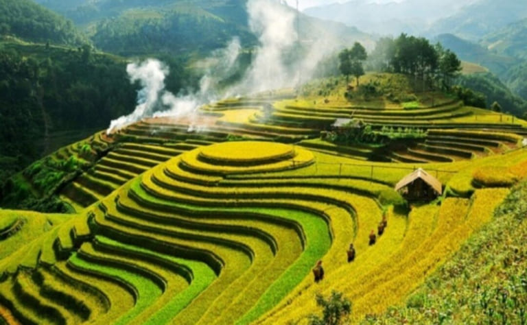 Vietnam Natural Wonders